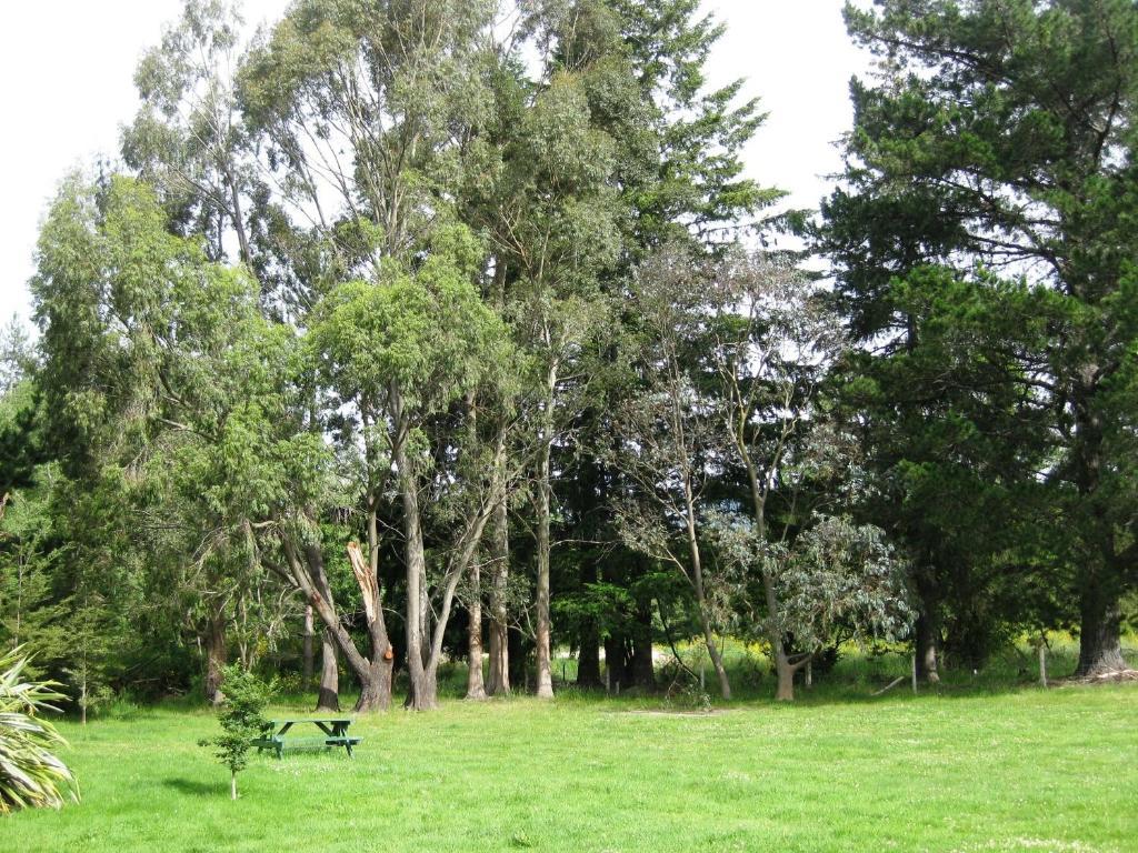 Alpine Holiday Apartments & Campground Hanmer Springs Eksteriør bilde