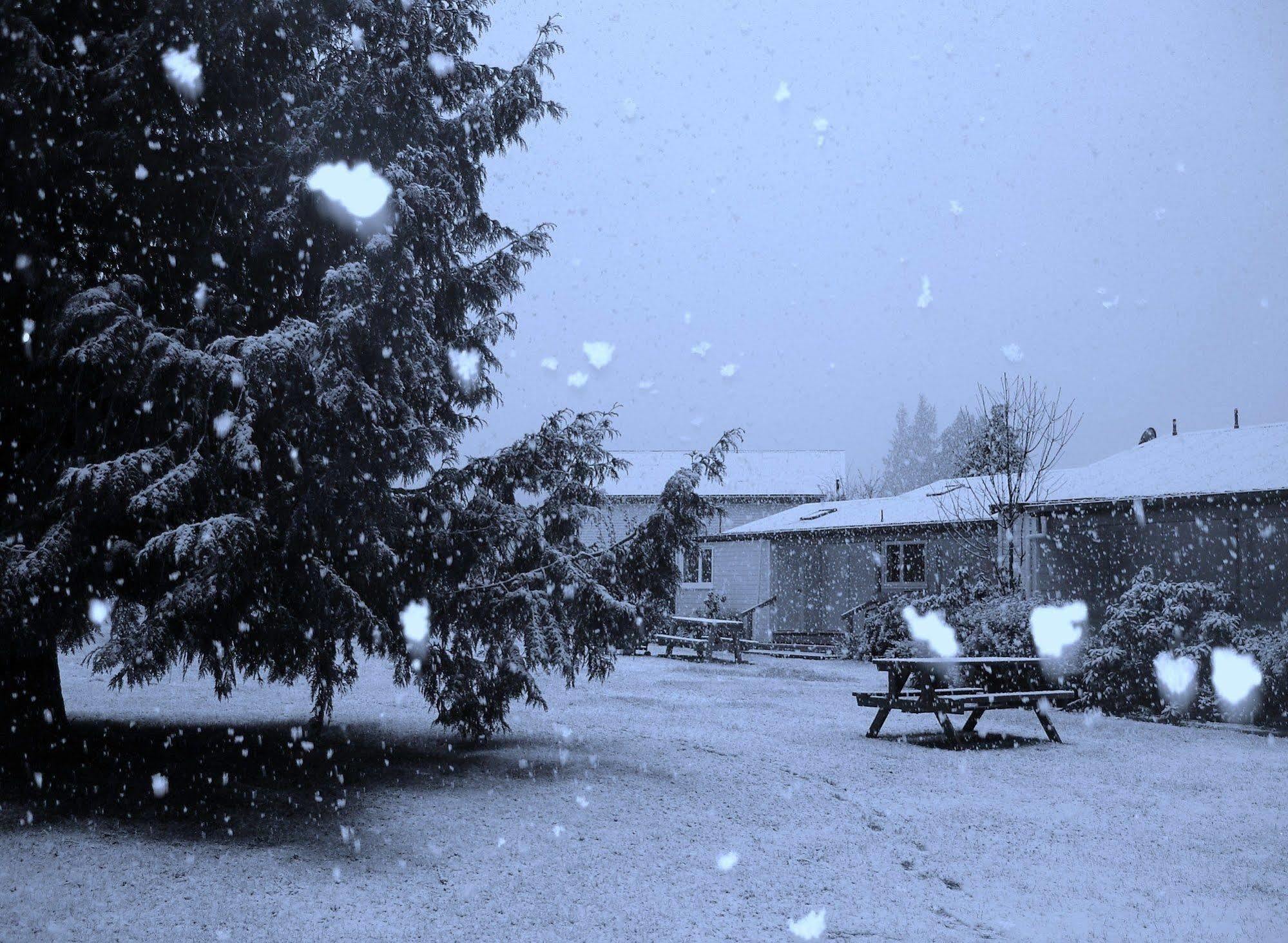 Alpine Holiday Apartments & Campground Hanmer Springs Eksteriør bilde